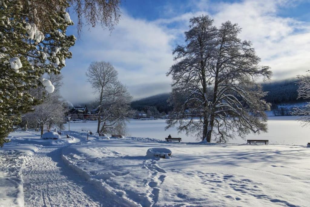 Waldklang Titisee Exteriör bild