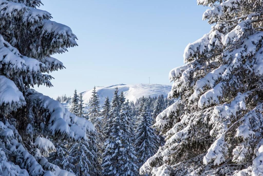 Waldklang Titisee Exteriör bild
