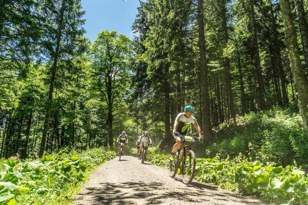 Waldklang Titisee Exteriör bild